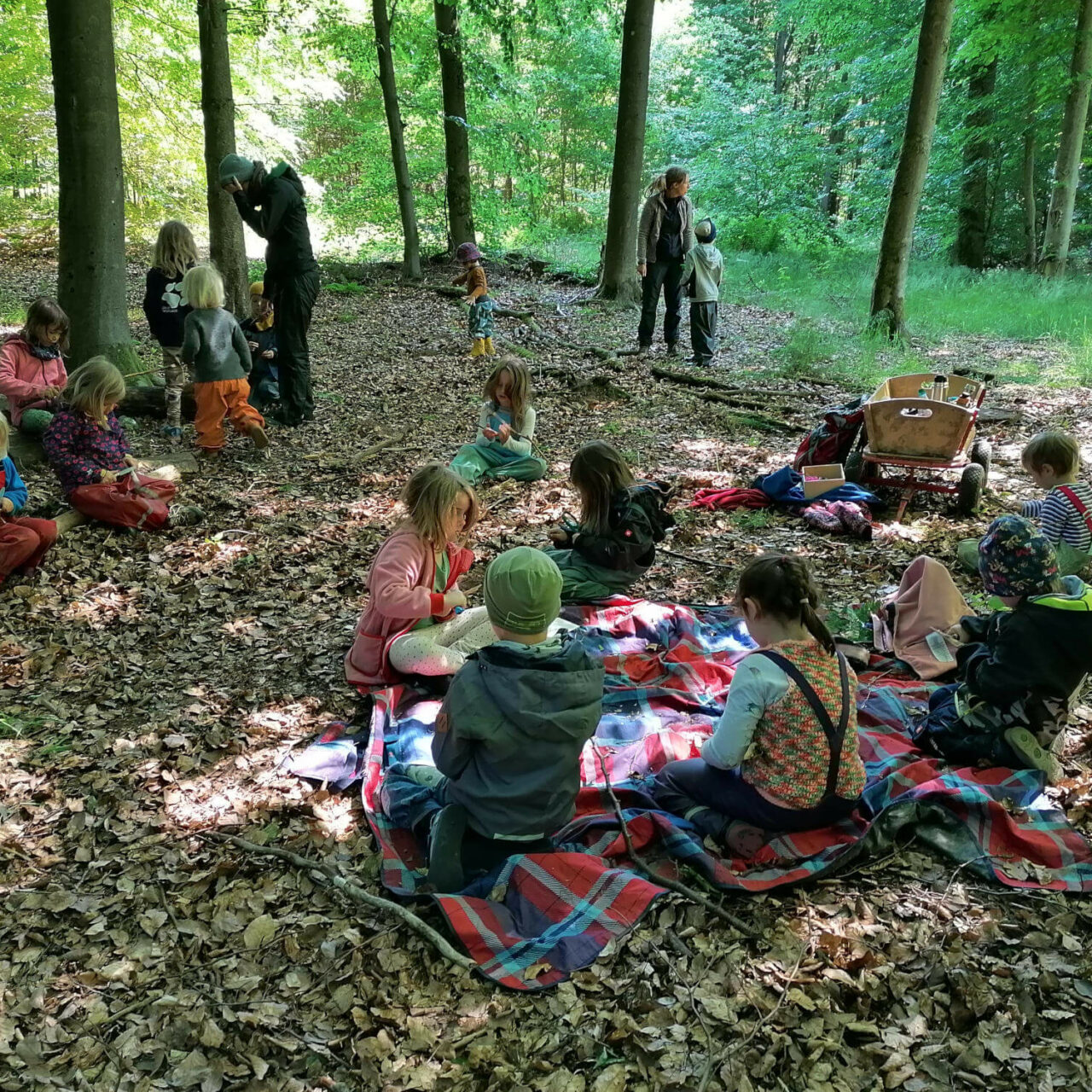 Neue Abenteuer unserer Kita-Kinder in der Waldzeit 2022