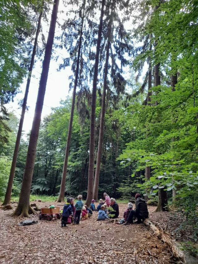 FSM Kita Waldzeit 2022 - Im Wald