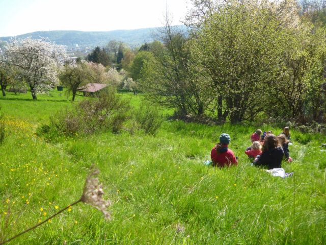 FSM Kräuterwoche 2023 - Wildkräuter auf artenreichen Wiesen in Marburg