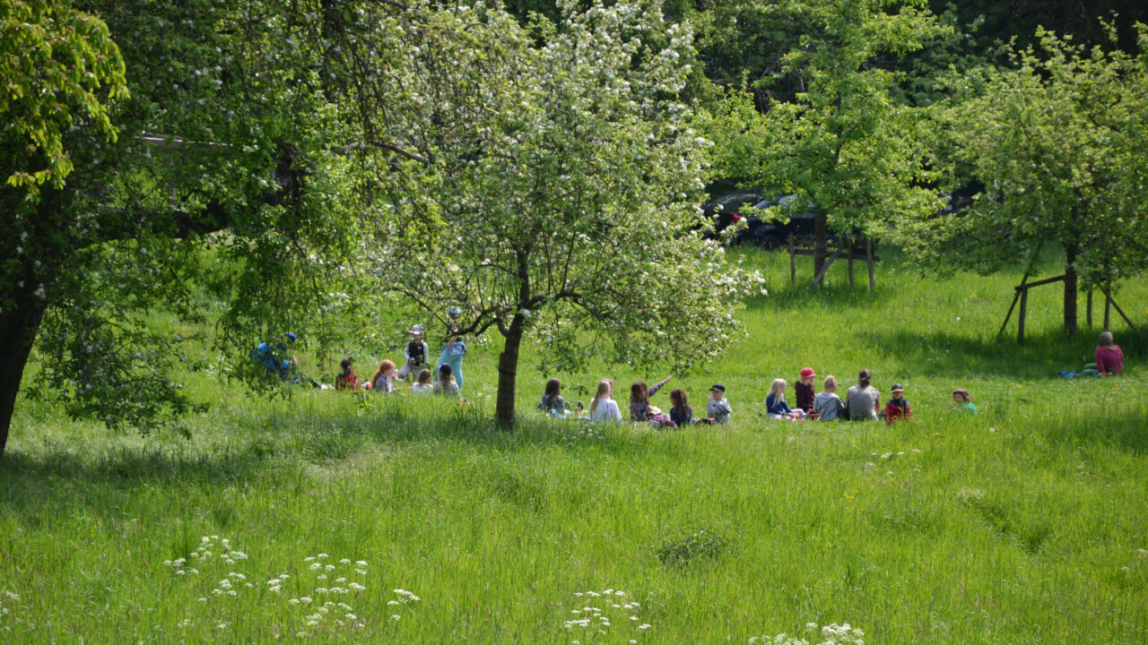 https://www.freie-schule-marburg.de/wp-content/uploads/Rucksackschule-2022-10-1280x720.jpg