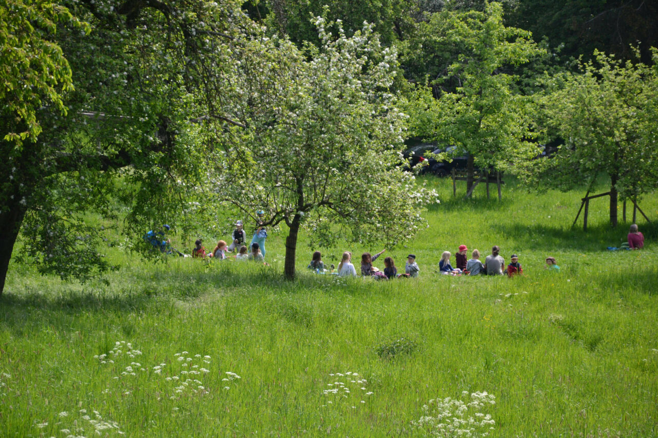 https://www.freie-schule-marburg.de/wp-content/uploads/Rucksackschule-2022-10-1280x853.jpg