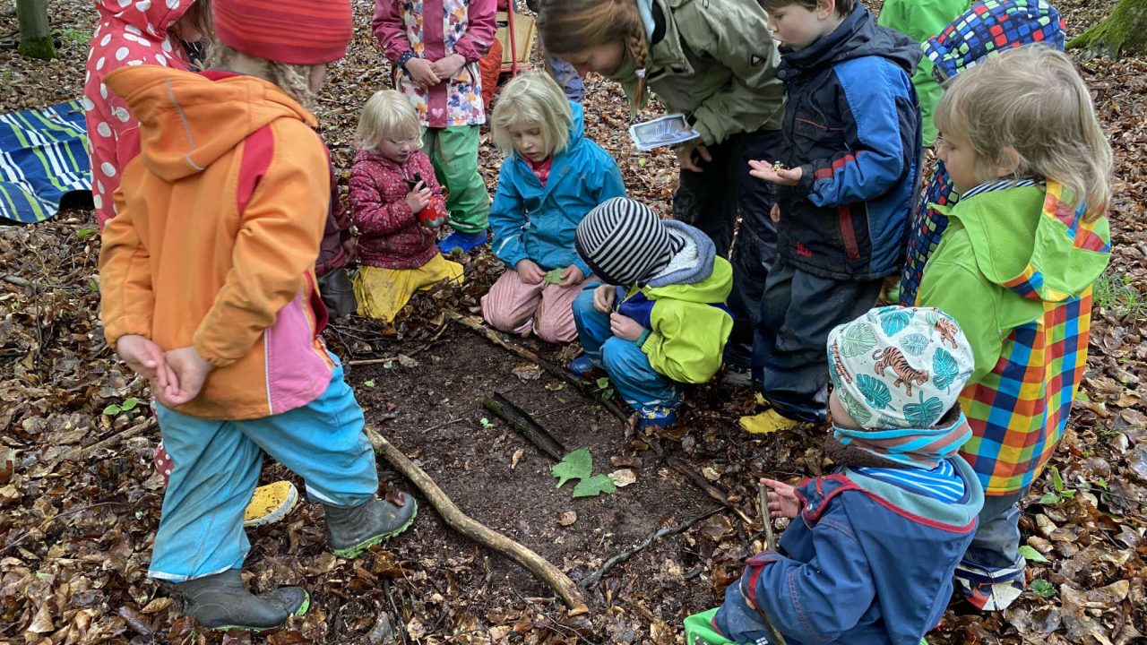 https://www.freie-schule-marburg.de/wp-content/uploads/Waldzeit-2021-in-der-Kita-1280x720.jpg