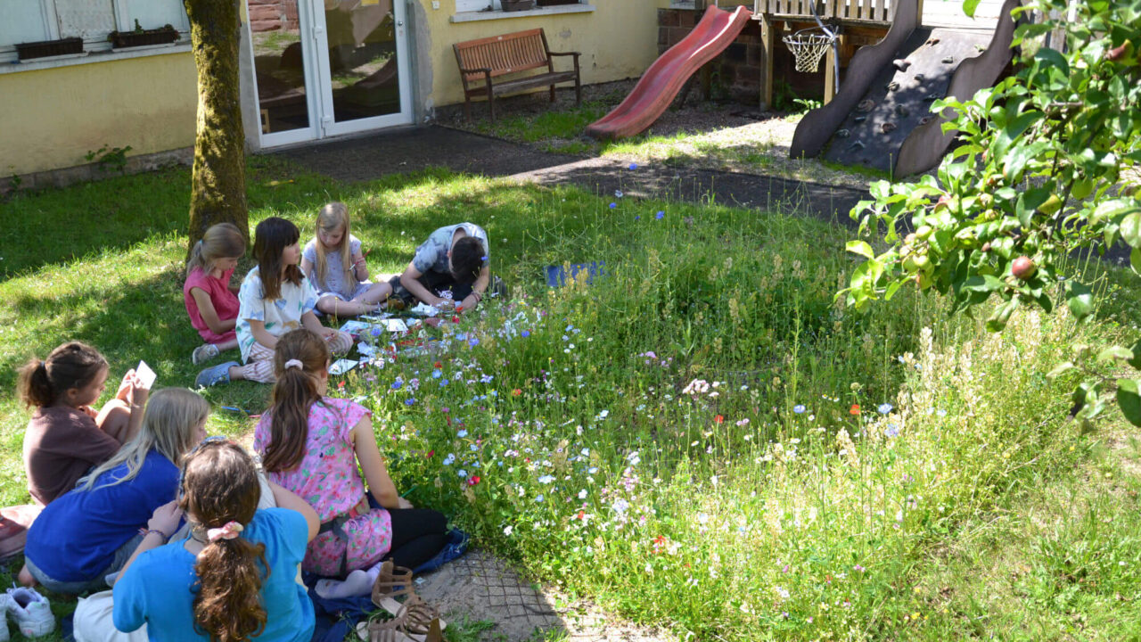https://www.freie-schule-marburg.de/wp-content/uploads/fsm-insektenforscher-1280x720.jpg